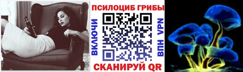 Псилоцибиновые грибы Psilocybine cubensis  Купить  Макаров 